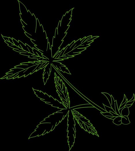Botanical leaf accent