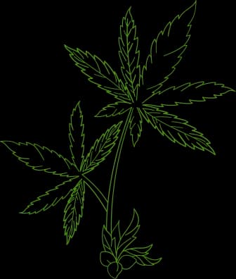 Botanical leaf accent